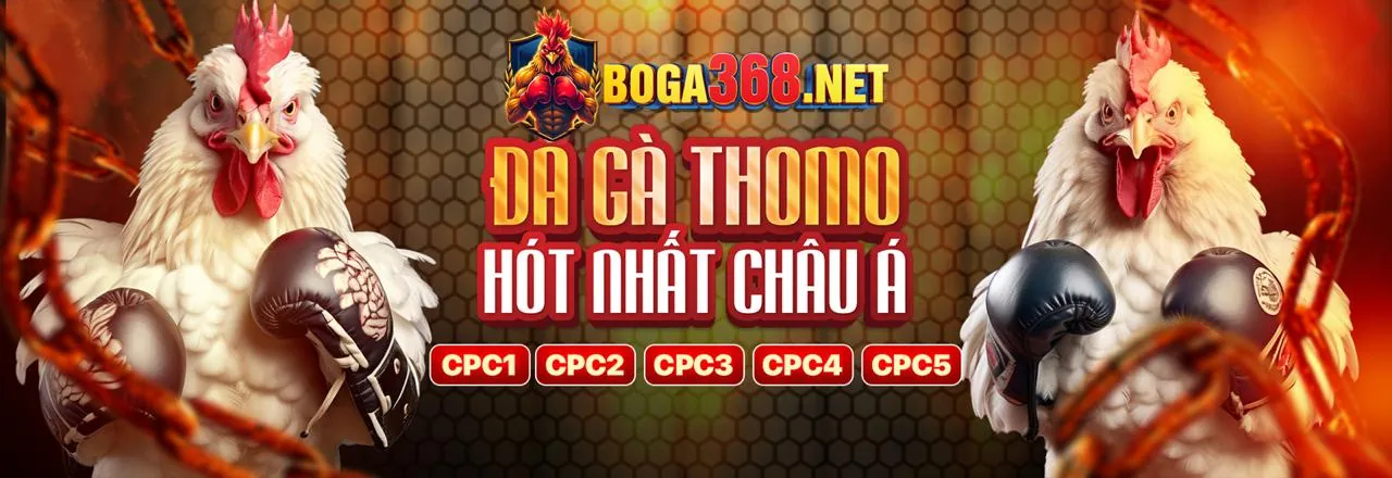 Đá Gà Trực Tuyến Game 79